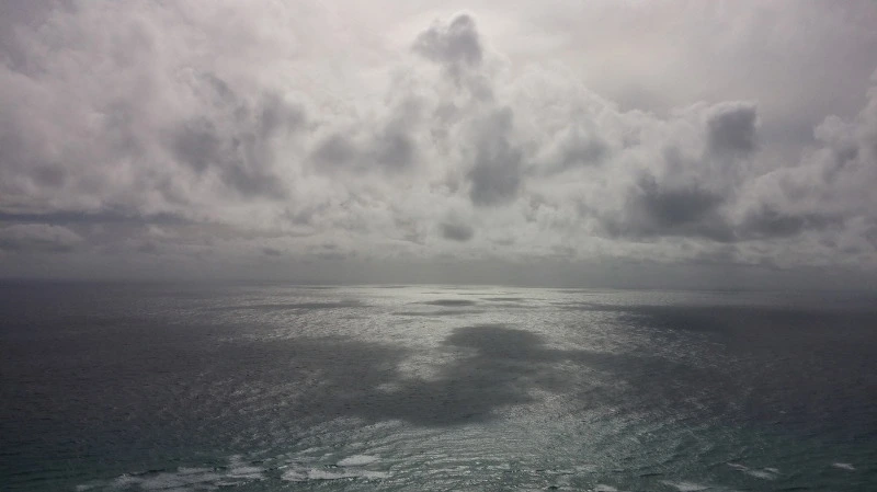 251B8B3758AA345828097B