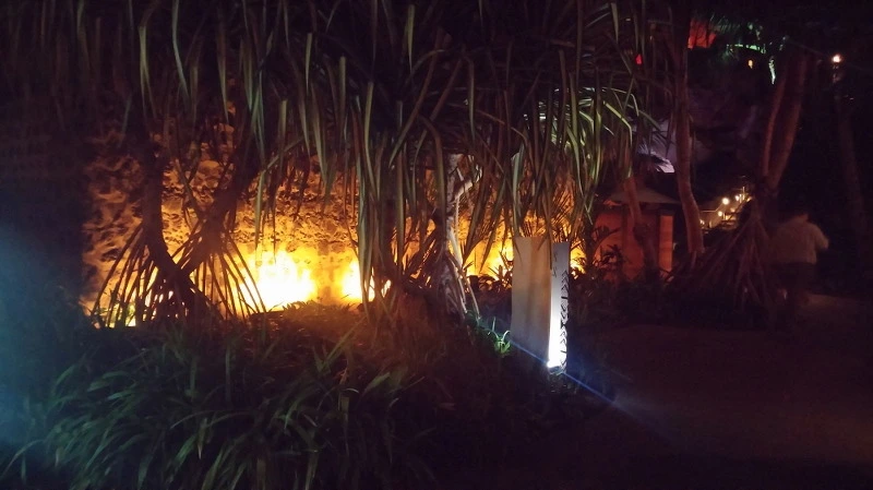 21132C4658B54C8723D570