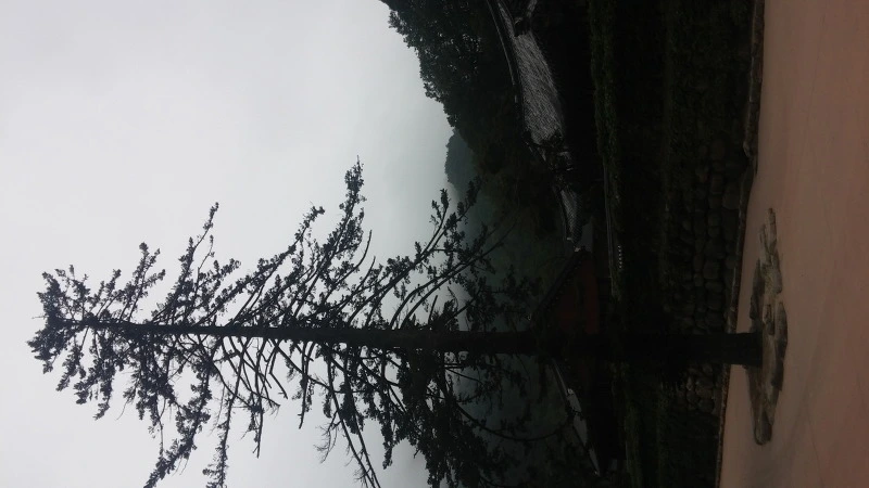 211E3C43577F8D9222F1B3