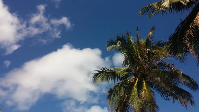 244E293E58A9245B0A3CB9