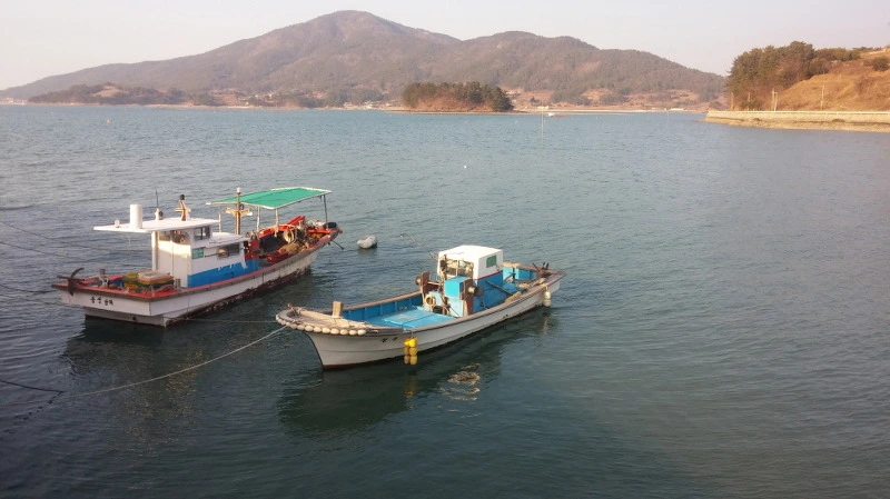 2763E13C58B3719C0BA4DA