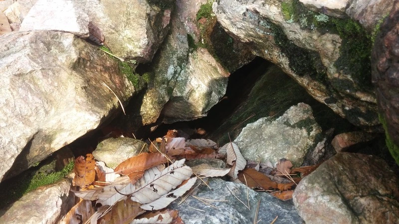 247AC5485821C7D7361246