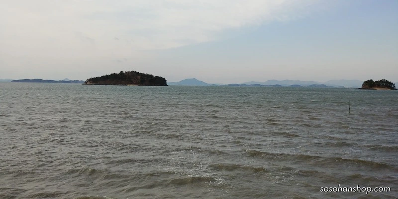 99D10E4D5A3611691BC7FE