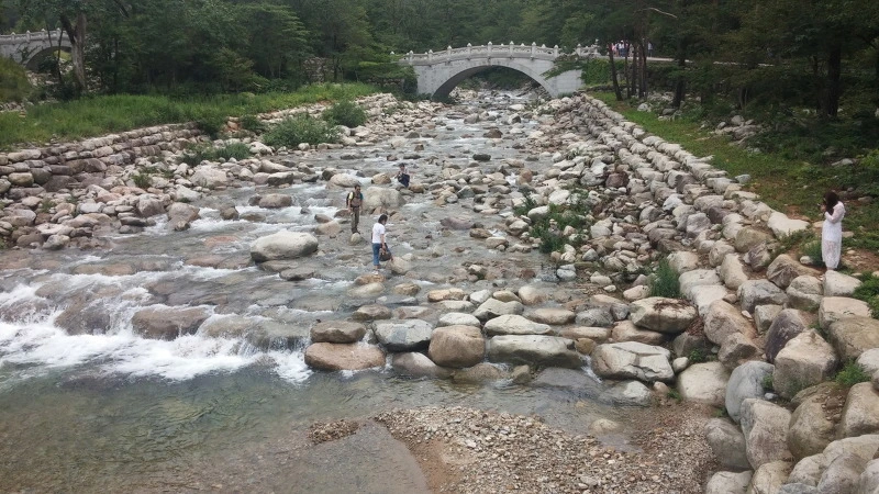 27095A3C577F8D7E14D6C6