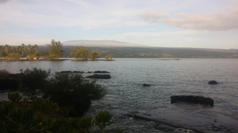 2612C63F58ACD72A24F626