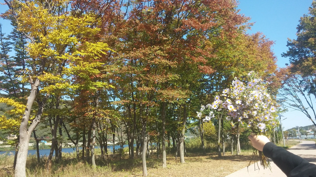 2015-10-09 10.44.14.jpg