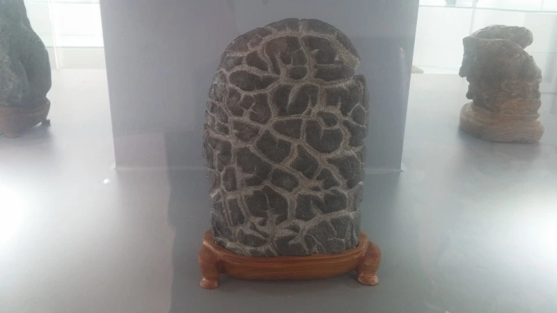 2551F83E57B91725227F19