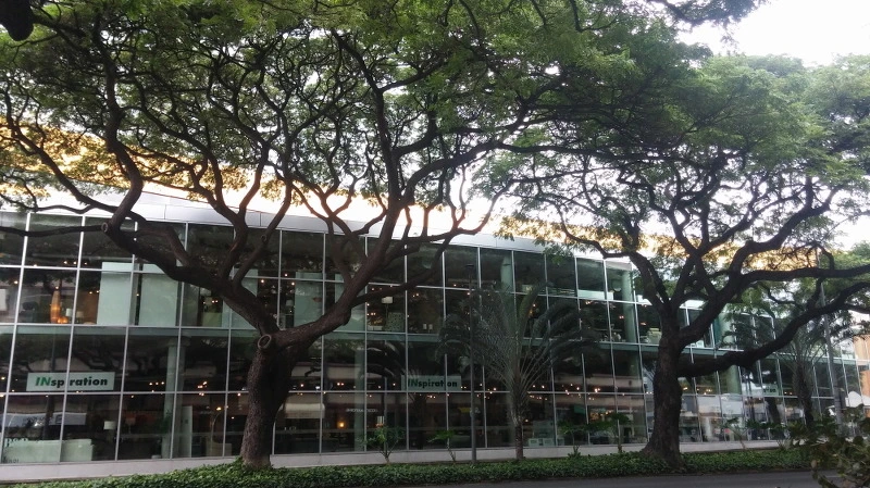 2769013758AA344C2F2D85