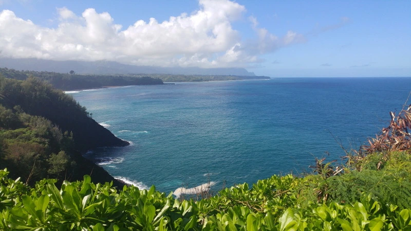 245D7F4358B52BE90C0C12