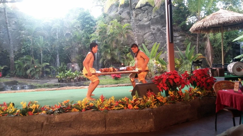 222ED23F58A9249912B0E5