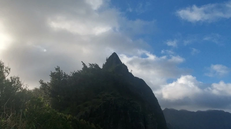 250F7D3E58B54E012275D7