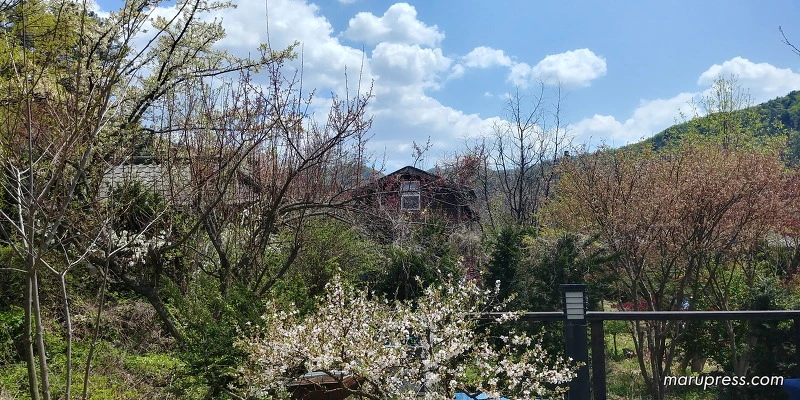 261A6A4A58FBF8433D105D