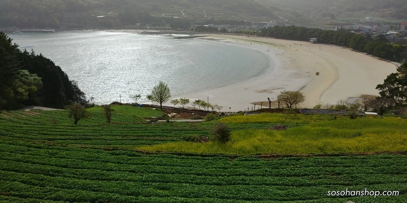 9935D4405AD3F1D23489B4