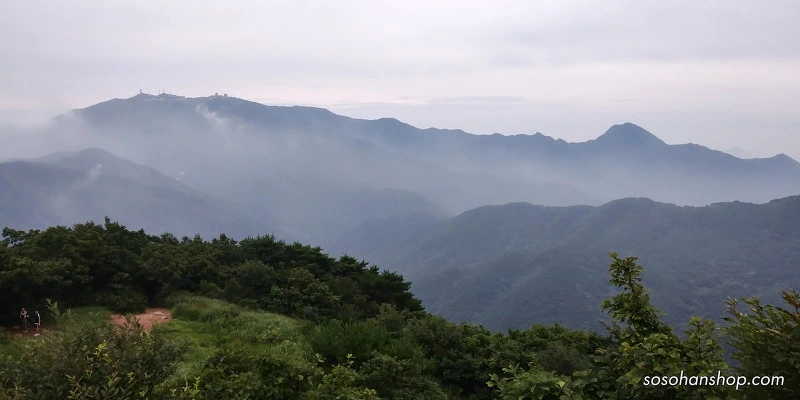 99DB2033598BA3663A3190