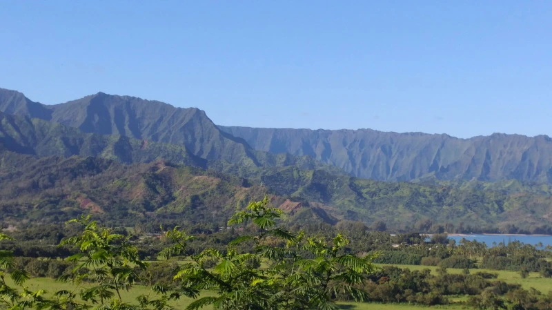 222FEC3E58B52AE412990A