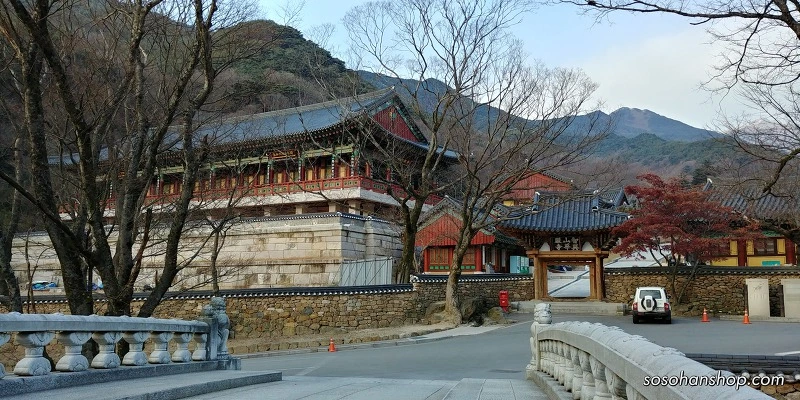 995861435A3613AD303409