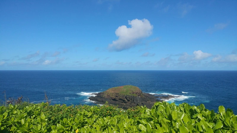 2547644358B52BF52C3E64