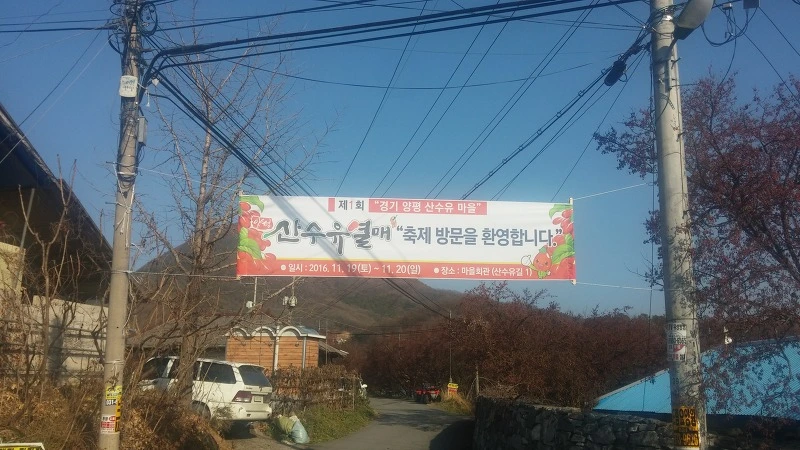 23531B4F583252DF2FEB05