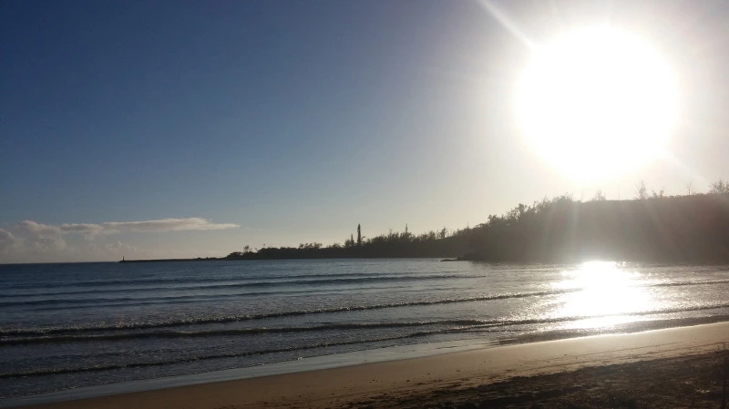 262C063558B52926019950