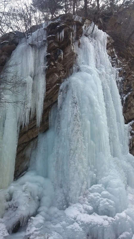 26686B3358A7A47109EE18