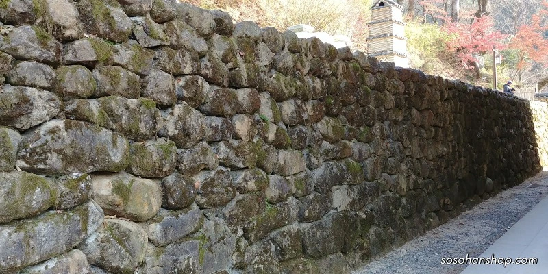 99483B4A5A3612EA0DE2BC