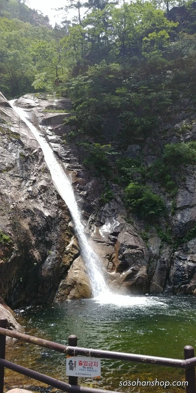 27335041595CE7F81EFA17