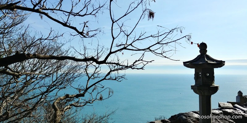 997466435A35FA1E229E4F