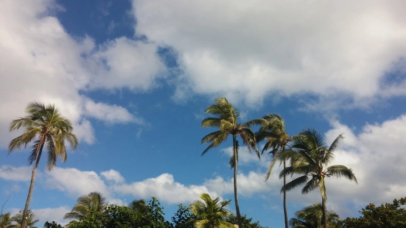 2366483E58A92471082474