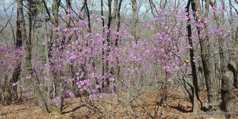 211AB4385900549028DBE8