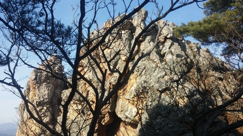 271CD64E58359DEB27DD61