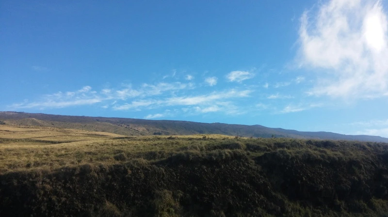 2136FD3758ACD76411F6B7