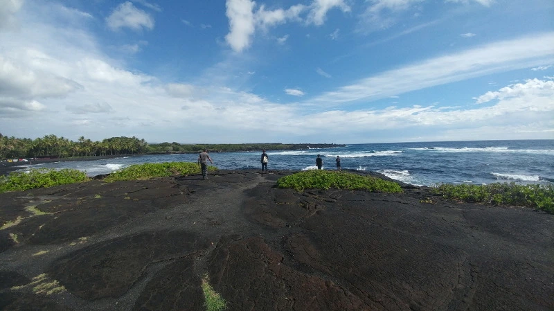 230BF63858ABC1C42154AF