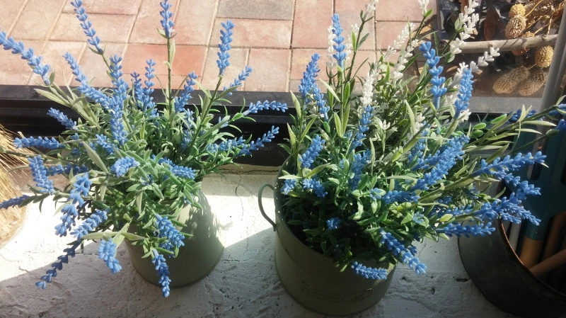 2258883558B3718B2F818F