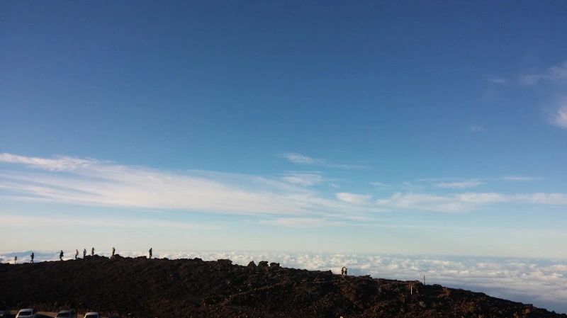 232A7C3A58ACD77A25D7EF