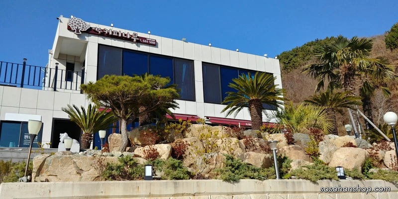 99728B495A35F8CC260D3F