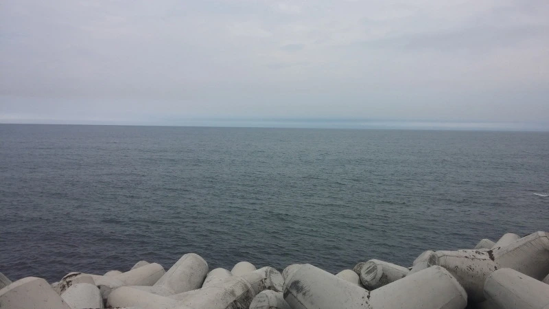 255D4242577F8D9D1A94B7