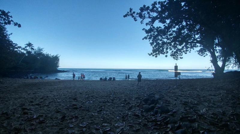 2167824458B52B2D231C59