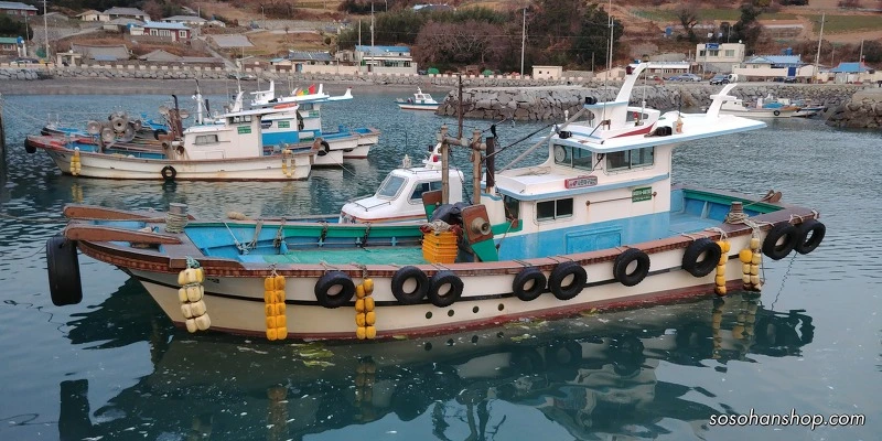 996F30485A35FC103C9E53