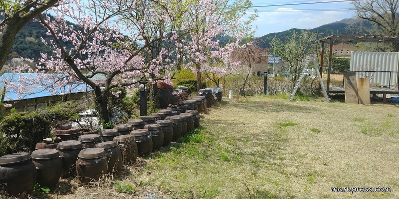 2242964A58FBF84A0BDD27