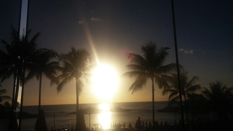 216B774358B54C6F03076B