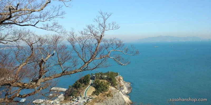 9942C9505A35F96E27B5D4