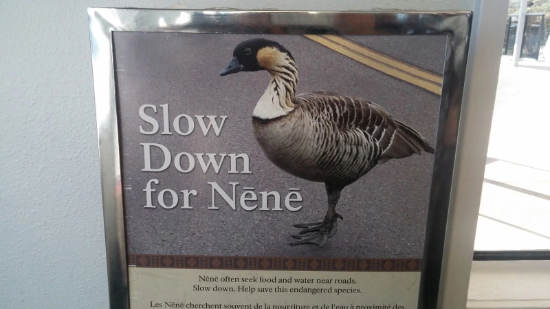 225F483C58ACD74011CF38