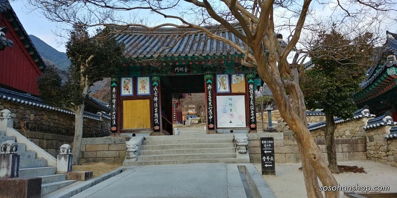 9961954F5A3613DB0DF382