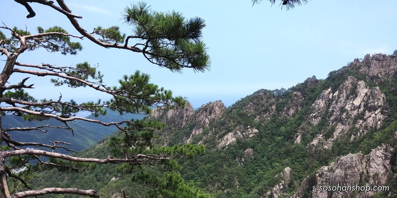 27069444595CE75D183983