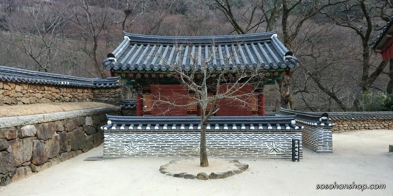 99E649425A3614911D1C66