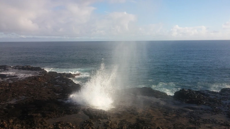 246E824458B529982D6B9C