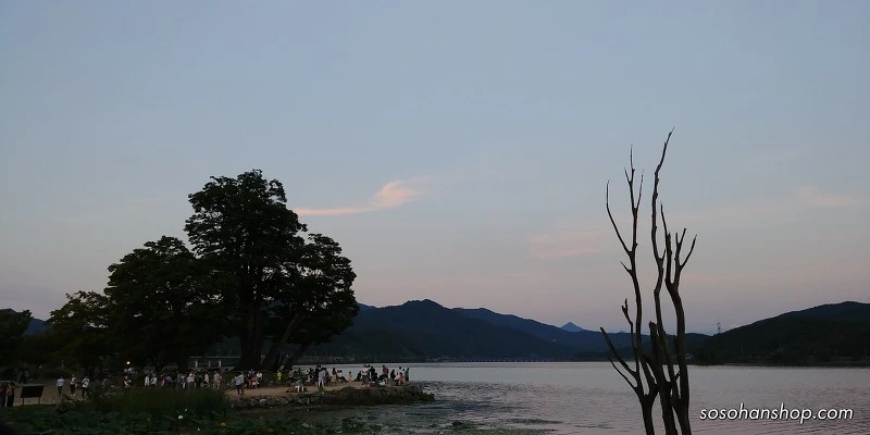 99239E3359AAB1763263C4