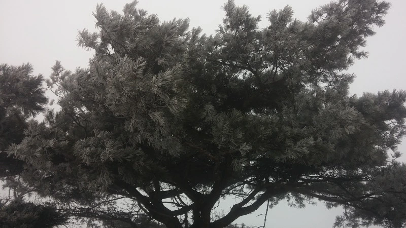 2272443B584813090BAEDD