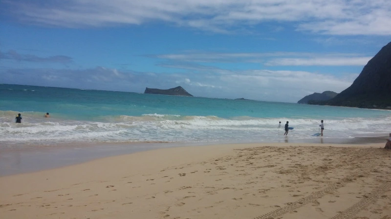 2237A94358B3A64D324F28