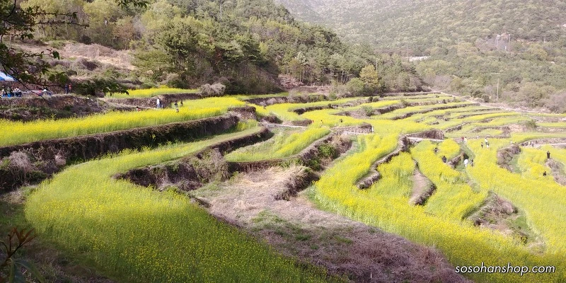 993DF3405AD3F1D833EF27